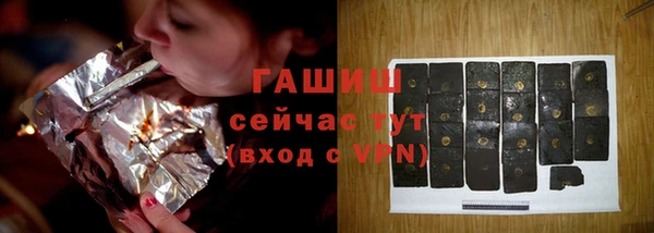 СК Снежногорск