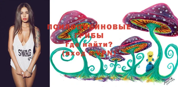 СК Снежногорск