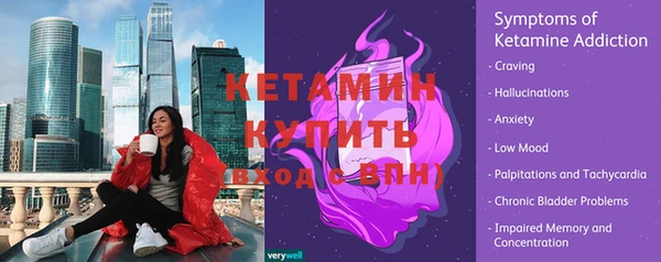СК Снежногорск