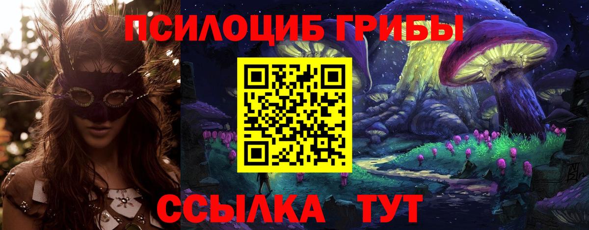 Среднеуральск  Галлюциногенные грибы ЛСД  Вход с VPN  что такое наркотик  Псилоцибиновые грибы ЛСД 
